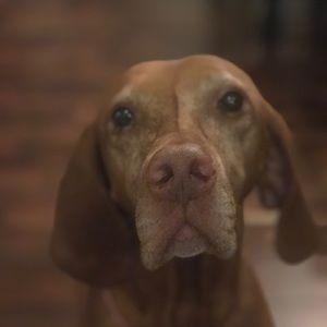 Meet your Posher, Heather